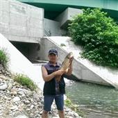 Đầy 