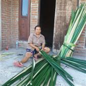Tài 