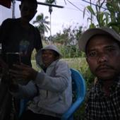 Dự 