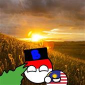 Sự T