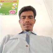 Fir