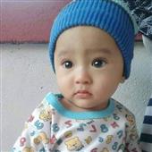 Tải 