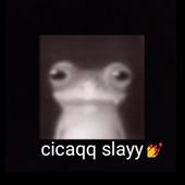 Phư
