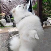 She