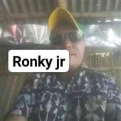 Fin