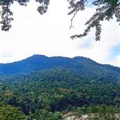 Kết 