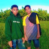 Cung