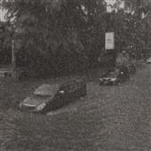 Trực