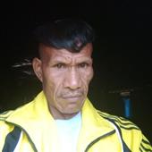 Máy