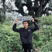 Trực