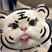 Tổng