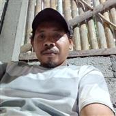 Ngu