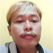 Giả