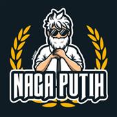 Giả