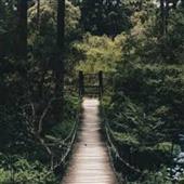 cuộc