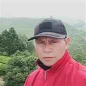 Truy