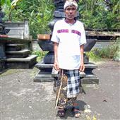 Apol