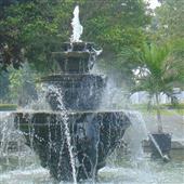 Nhận