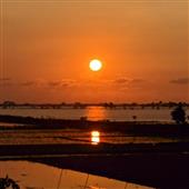 Mật 