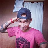 Cung