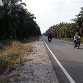 Medu