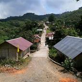 Bầu