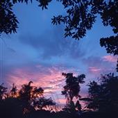 Chụp