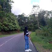 Cung
