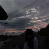 Vũ 