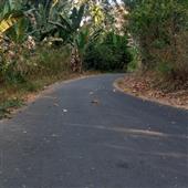 TRỨN