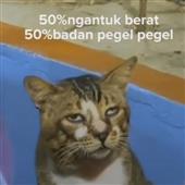 1 se