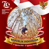Trá