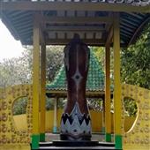 Vùng