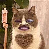 Fang