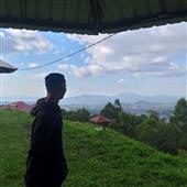 Trự
