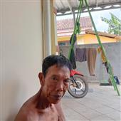 PubT