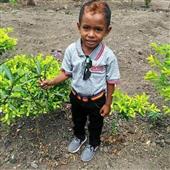 Poin