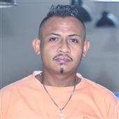 Chó
