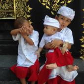 Mật