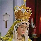 Trự