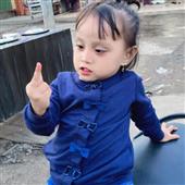 Dự 