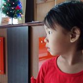 Giả