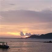 Lươn