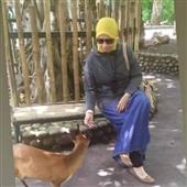 Bảng