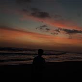 Bộ m
