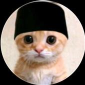 Kèo 