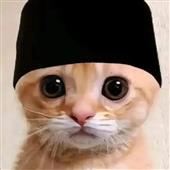 Bac