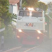 Hoa