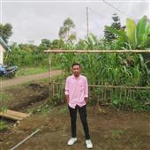 Quý 