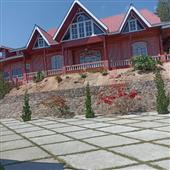 Alla